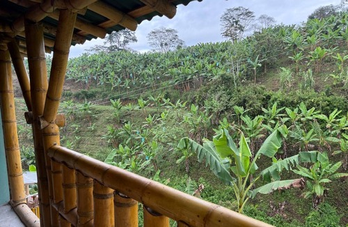 Cali Cabin | A cabin in the heart of the coffee-growing region, nestled between banana plantations and a crystal-clear river.