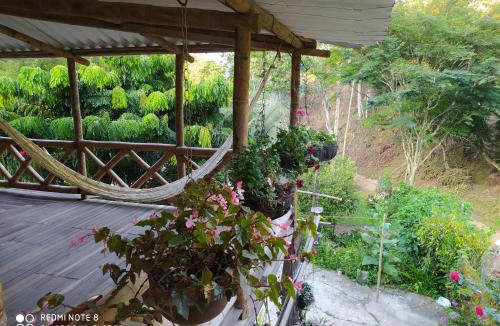 Andes House | Alojamiento rural pájaros y flores