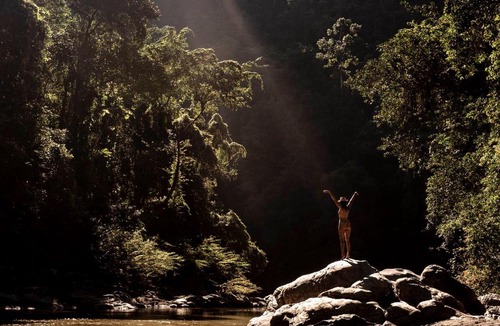 Palomino House | Blue Dot - jungle river adventure hostel closest to Ciudad Perdida
