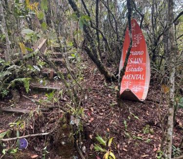 Medellin Other | Bosque Encantado Story