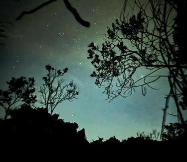 Medellin Other | Bosque Encantado Story