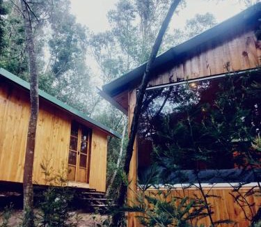 Guatavita Ski Chalet | Bosque Venado de Oro