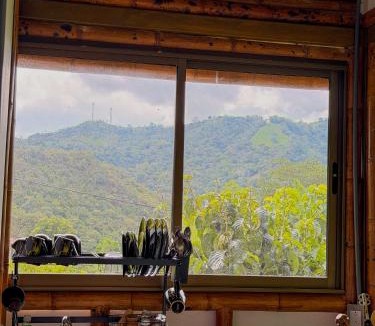 La Vega House | Cabaña ALAK