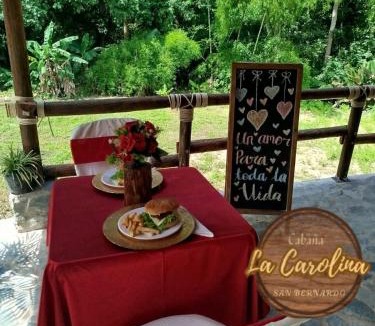 Ibague Apartment | Cabaña La Carolina