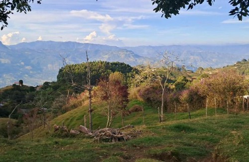 Jerico Apartment | Casa campestre en Jericó, Antioquia