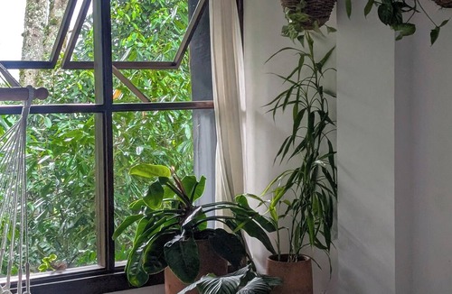 Jardin House | Casa Nativo Jardín