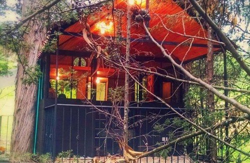 Pesca House | Despierta En El Árbol Desayuno Americano a tu ritmo somos Petfriendly