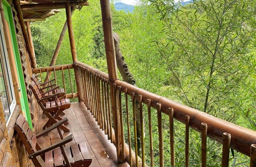 Pereira Hotel | Eco Hotel Green Eden