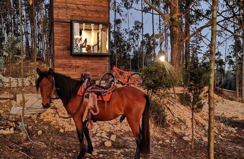 Paipa Other | El Bosque de Paipa