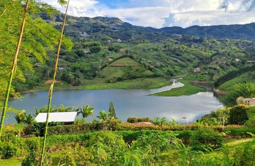 El Penol Bed & Breakfast | Finca Buena Vista