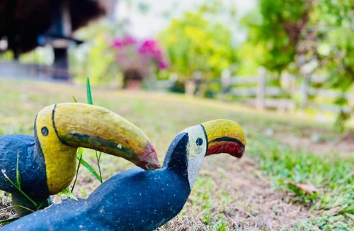 Puerto Triunfo Villa | Finca Paraíso Doradal