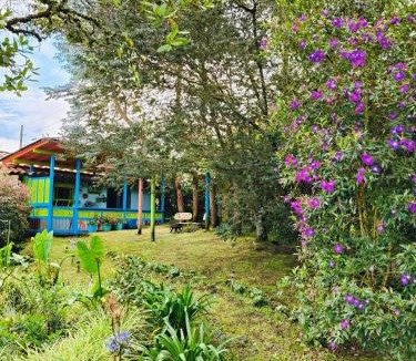Medellin House | Galilea