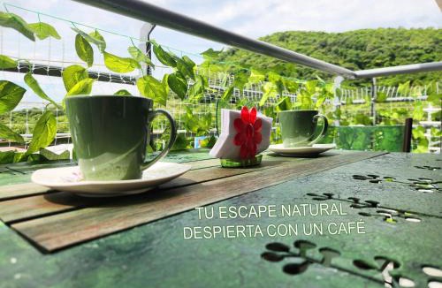 Girardot Apartment | Hermoso apartamento fresco en medio de la naturaleza