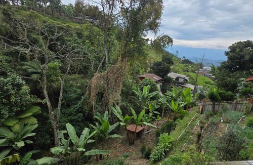 Manizales House | Hogar entre Flores Tradición y Cerca de Todo