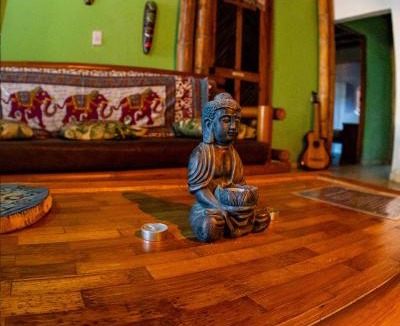 Palomino Hostel | Hostal Corazón de Tagua