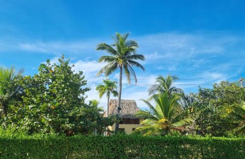 San Antero House | Hostal nido tortuga