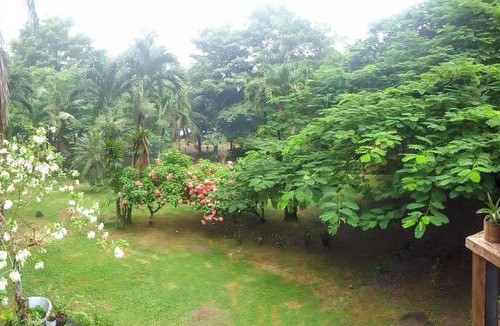 Acandi Hotel | Hotel Ceiba Bonga