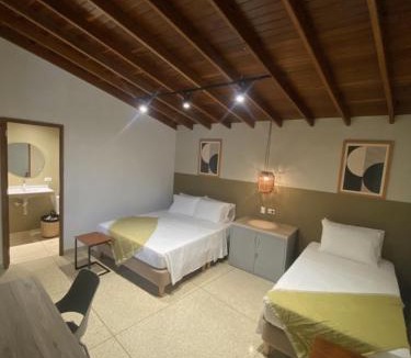 Concepcion Hotel | Hotel La Vega