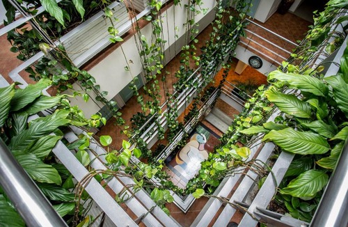 Suba Hotel | Hotel Picasso Inn