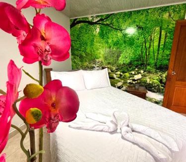 Filandia House | Hotel Sleep Well