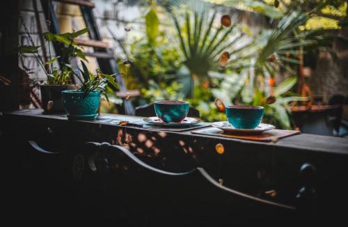 Palomino House | La happycleta