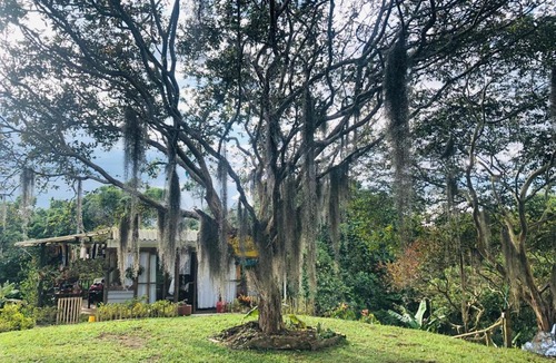 Filandia House | Lapastora