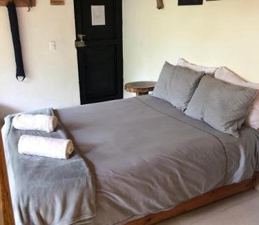 Pijao Bed & Breakfast | Las Bromelias, Pijao, Finca Flora del Rio