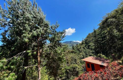 Bucaramanga House | Mama Anzas house in a magical mountain