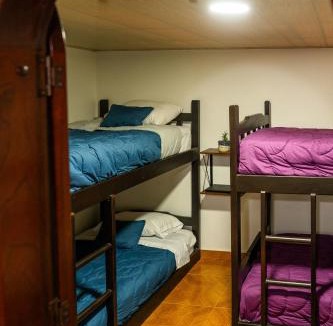 La Estrella House | Merakihouse
