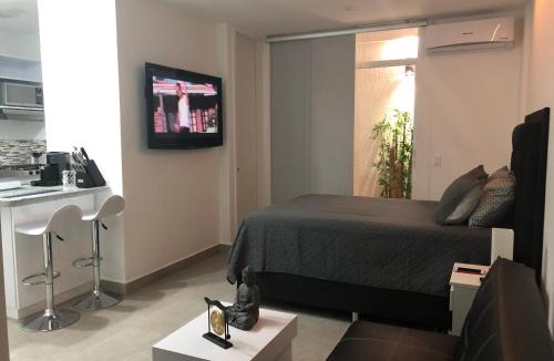 Guadalajara de Buga Apartment | New Modern Studio