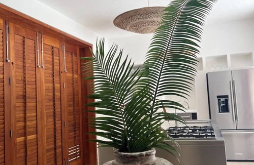 Baru House | Paradise Pier Villa | Barú's Hidden Gem