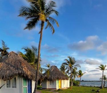 El Porvenir Other | Punta Manzanillo