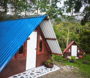 El Colegio Other | Refugio los naranjales