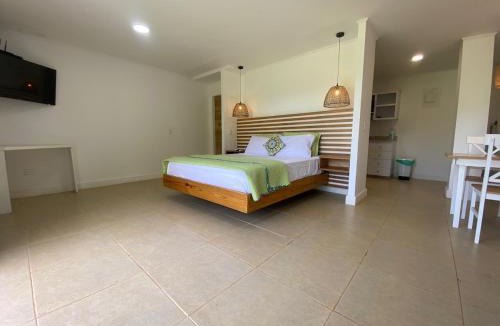 Punta Sur Apartment | Savannah Inn Suite 102