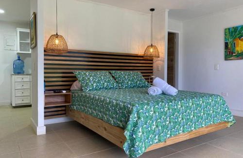 Punta Sur Apartment | Savannah Inn, Suite 201