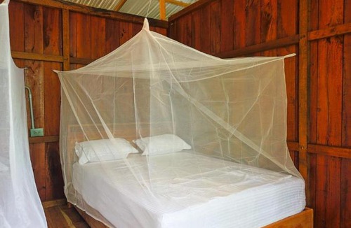 Bahia Solano Cabin | Selvahía Logde Playa Cuevitas