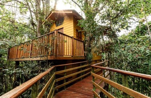 Neira Cabin | Tominejo Ecolodge - Casas en los árboles