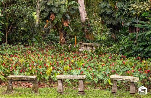 San Antonio del Tequendama Villa | TopSpot® con los más Increíbles Jardines Botánicos