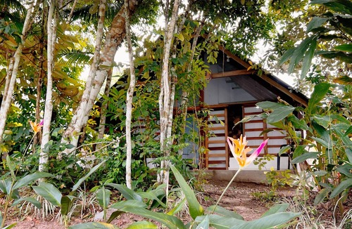 San Jose del Guaviare Cabin | Tranquilidad Cabin, Left Hemisphere.