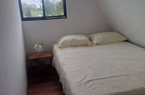 Murillo Other | Valle Cristal Family Cabins 🌿️🌿️🌿️ 🌿️🌿️‍❤️‍👨🏼👩🏻‍❤️‍👩🏼👨🏻‍❤️‍👨🏼