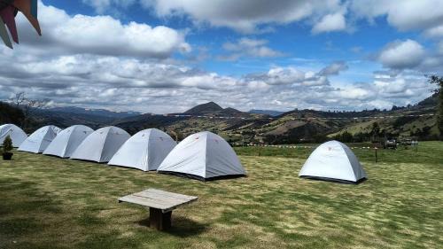 Sesquile Other | Yinkana Camping