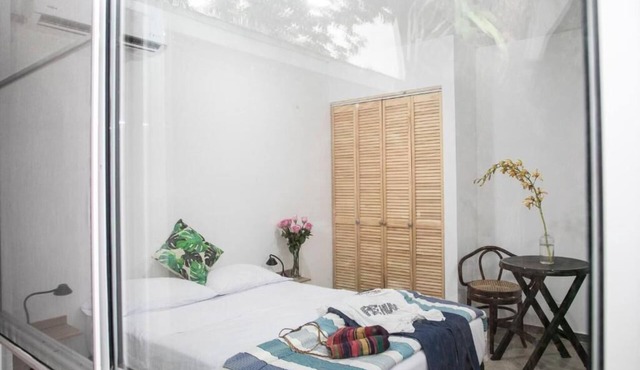 50N15 B&B