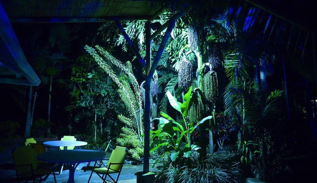 A fully furnished house with lush vegetation and a hot tub for 12 people with warm water in Santagueda Palestina Caldas