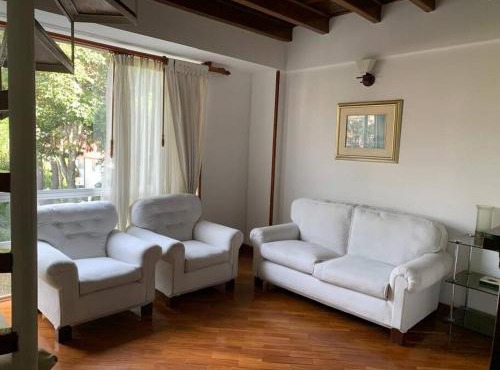 acogedor excelente sitio