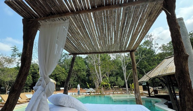 Akasha suites