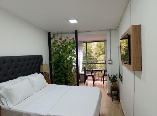 Apartahotel Provenza II