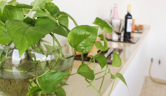 Beachfront Family Apartment Legal Rental RNT 24166 in Cartagena