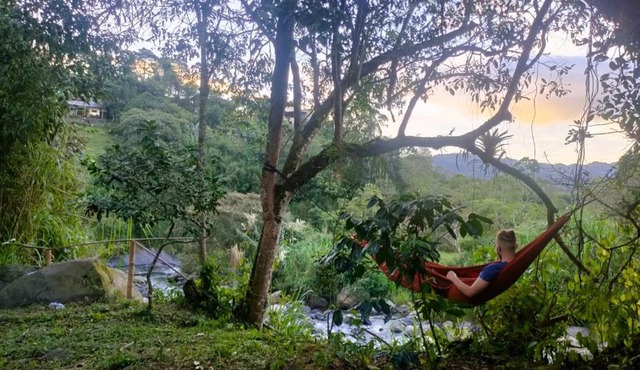 Bosque y río - Zona de camping en San francisco