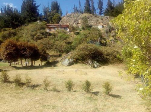 Cabaña los cerezos