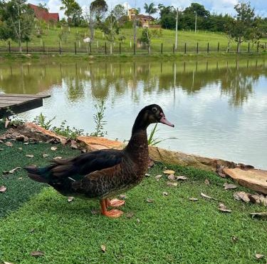 Cabaña privada en la Mesa de los Santos con experiencia de pesca